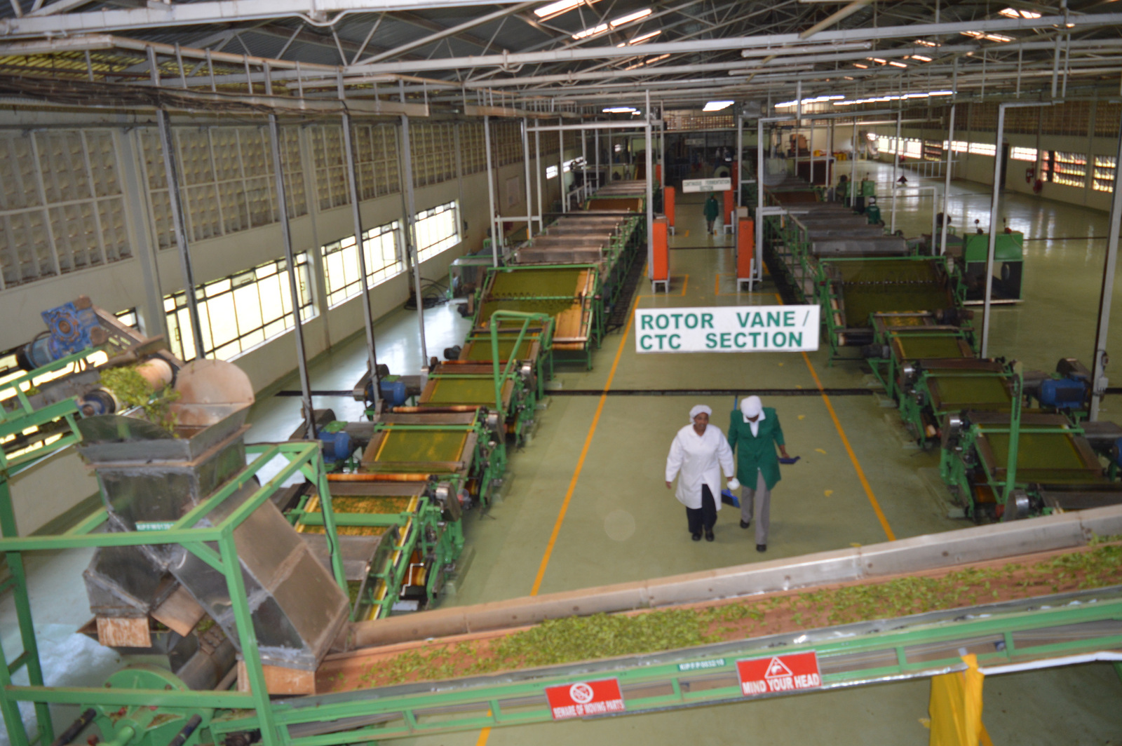 Commercial tea production and value addition